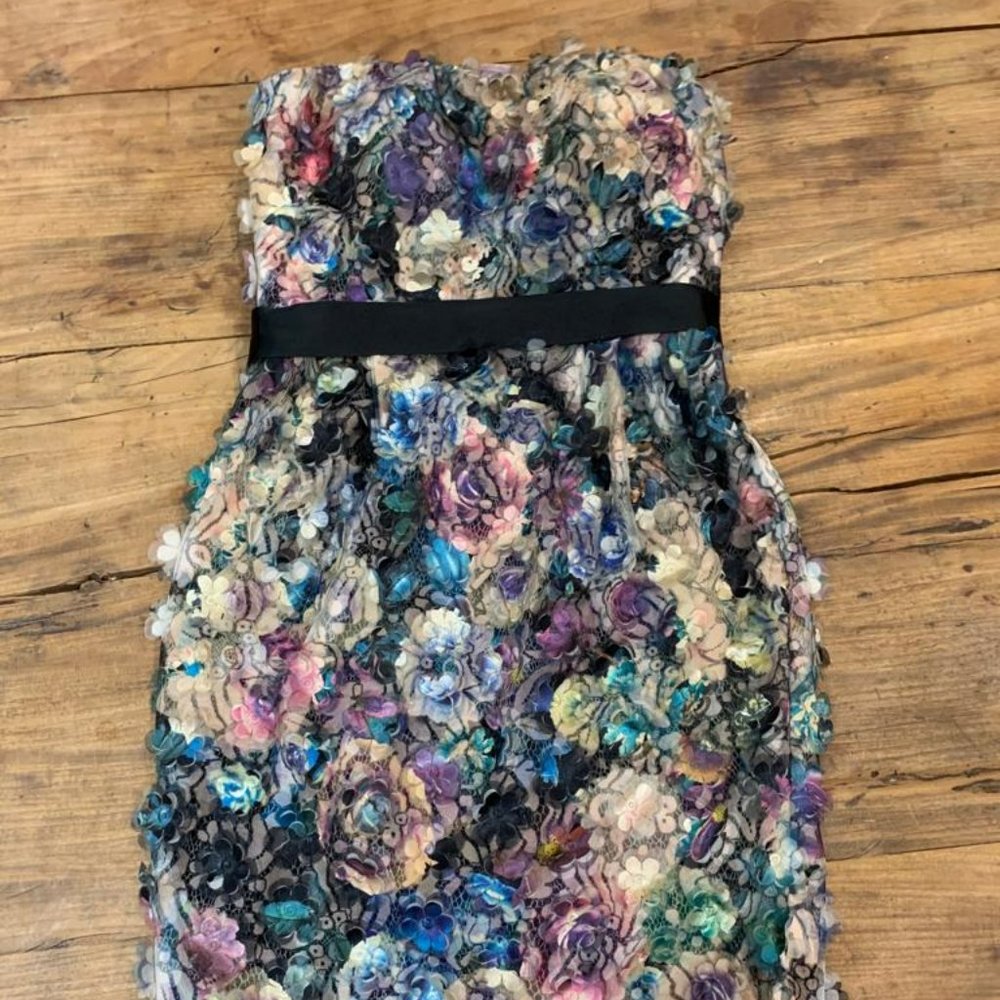 Monique Lhuillier tube floral  tulle Midi Dress worth over $1,000